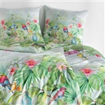 ESTELLA IMPULSE Pościel makosatyna CLARE 4829 155x200